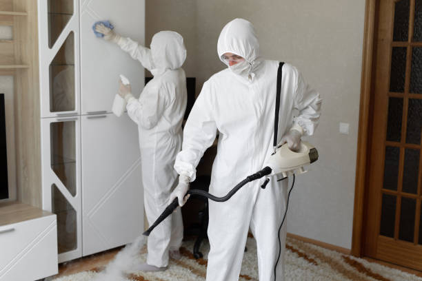 Mold Removal Process in Shreve, OH