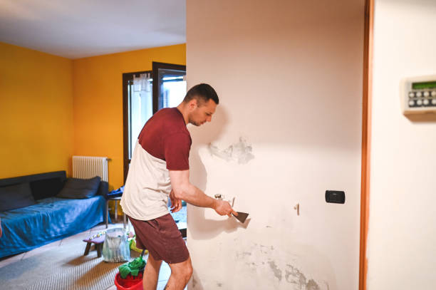 Best Mold Damage Repair  in Shreve, OH